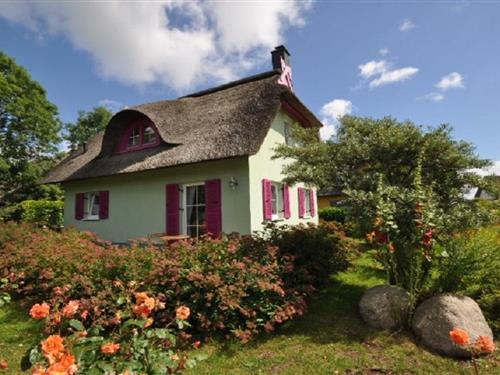 Feriehus - 3 personer -  - 18556 - Putgarten