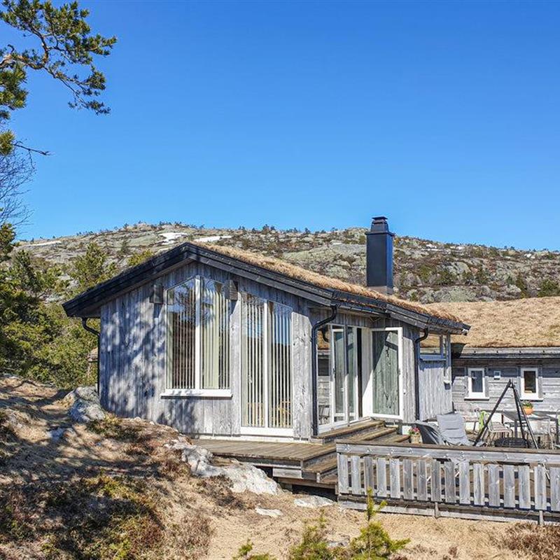 Sommerhus - 12 personer -  - Hillastadheia - Tovdal/Hillestadheia - 4869 - Dølemo