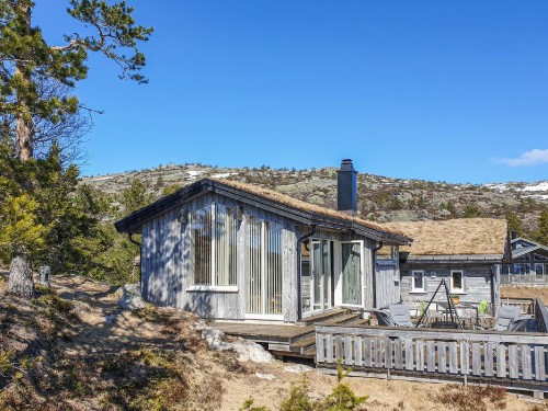 Sommerhus - 12 personer -  - Hillastadheia - Tovdal/Hillestadheia - 4869 - Dølemo