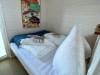 Bilde 5