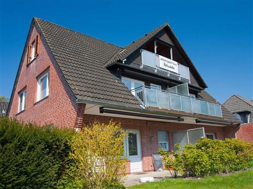 Ferielejlighed - 4 personer -  - Am Tümmeldiek - 25826 - St. Peter-Ording