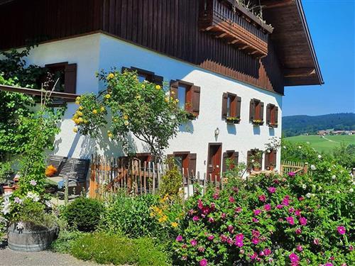 Ferieleilighet - 3 personer -  - Oberaschau - 4882 - Oberwang