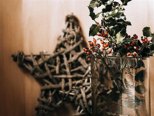 Ferielejlighed - 2 personer -  - Mischen - 6881 - Mellau