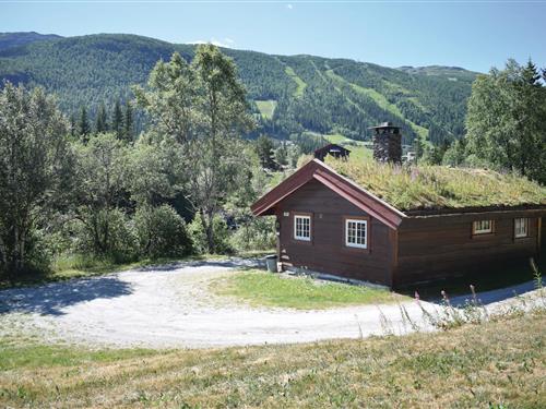 Sommerhus - 8 personer -  - Hemsedalsvegen - 3560 - Hemsedal