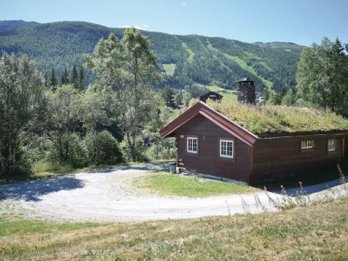 Ferienhaus - 8 Personen -  - Hemsedalsvegen - 3560 - Hemsedal