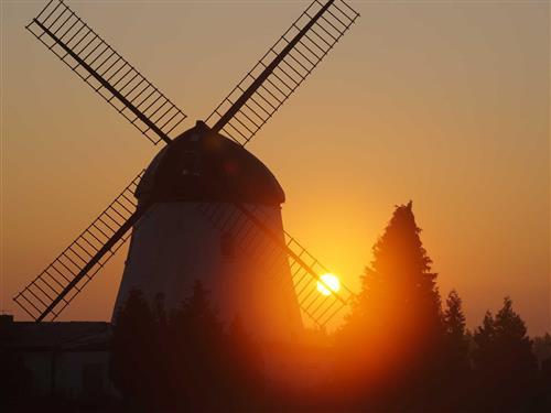 Ferienhaus - 3 Personen -  - Windmühle - 29378 - Wittingen