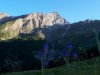 Bilde 3 - Ude