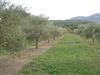 Bilde 28