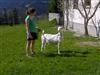 Bilde 6