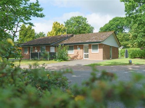 Ferienhaus - 5 Personen -  - Am Schilf - 21762 - Otterndorf