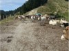 Billede 20