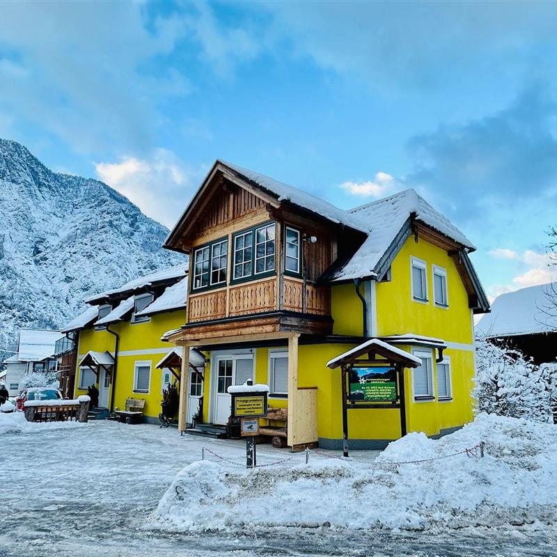 Ferielejlighed - 4 personer -  - Au - 4822 - Bad Goisern Am Hallstätte