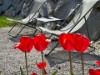 Bild 20