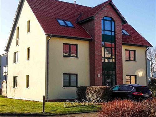 Semesterlägenhet - 3 personer -  - Waldstr. - 18225 - Kühlungsborn (West)