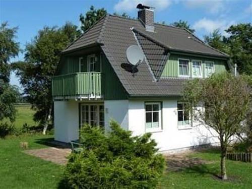 Holiday Home/Apartment - 4 persons -  - Dorfstr. - 18374 - Seeheilbad Zingst