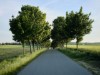 Bild 40