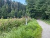 Bild 33