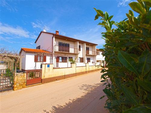 Holiday Home/Apartment - 5 persons -  - Pineta - 52212 - Valbandon