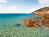 Billede 6