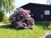 Bilde 27