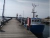Billede 40