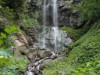 Image 14