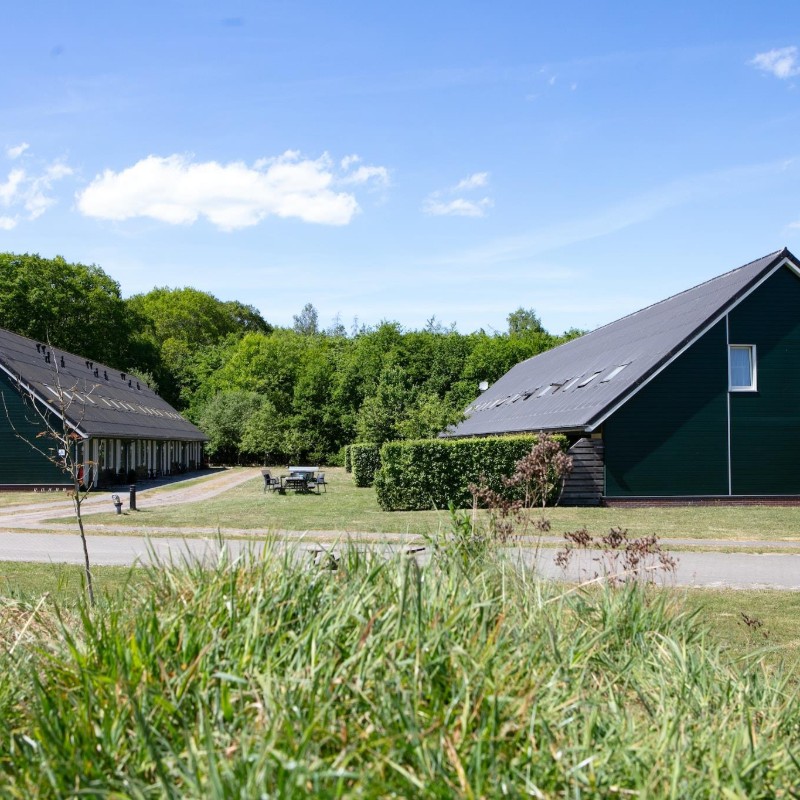 Sommerhus - 6 personer -  - 7797RD - Hardenberg (Rheezerveen)
