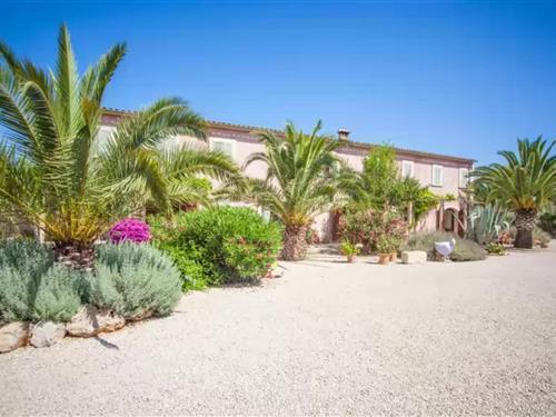 Sommerhus - 2 personer -  - 07144 - Costitx, Illes Balears