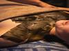 Bild 22