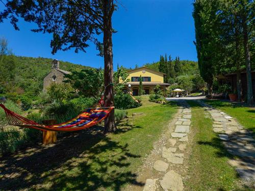 Feriehus / leilighet - 14 personer -  - 52044 - Cortona