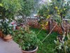 Bild 43 - Ude