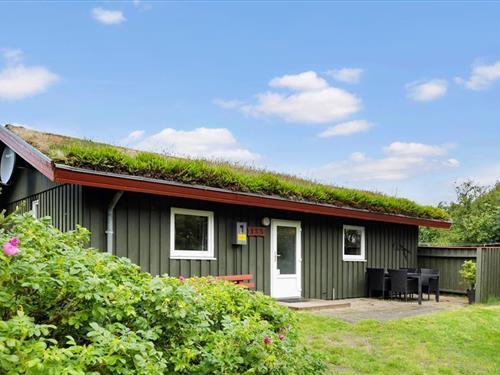 Ferienhaus - 6 Personen -  - Ringvejen - Bolilmark - 6792 - Römö