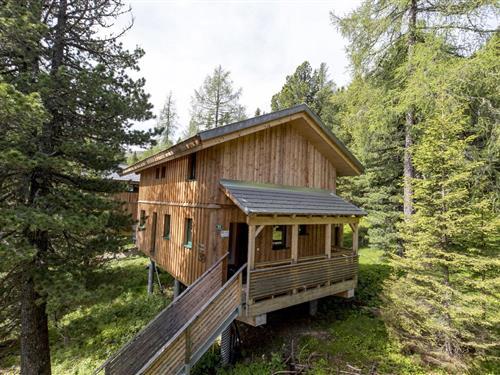 Chalet - 11 personer -  - 8864 - Turracherhöhe