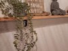 Bild 32