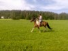 Bild 19 - Ude