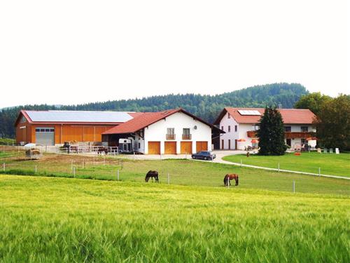 Holiday Home/Apartment - 6 persons -  - Rainfurt - 94327 - Bogen