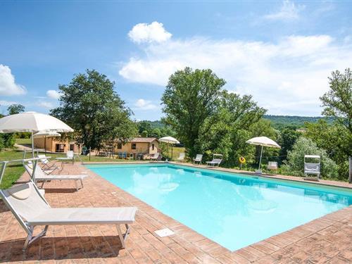 Feriehus - 20 personer -  - Vocabolo la Fornace - San Venanzo - 05010 - San Vito In Monte