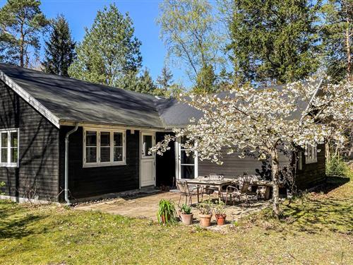 Ferienhaus - 6 Personen -  - Myretuevej - Liseleje - 3300 - Frederiksvärk