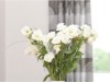 Bilde 5