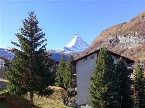 Semesterhus/Semesterlägenhet - 6 personer -  - Zermatt - 3920