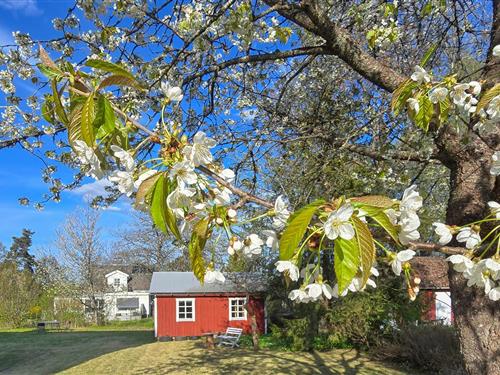 Holiday apartment - 5 persons -  - Skolgatan - Rörvik/Sävsjö/Lammhult - 576 93 - Rörvik