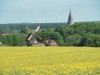 Bild 36
