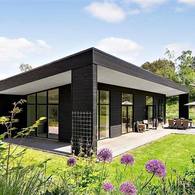 Billede 2