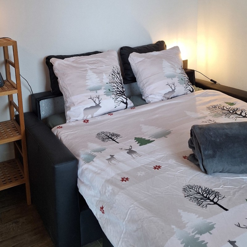 Ferielejlighed - 2 personer -  - 7109 - Thalkirch