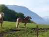 Billede 7