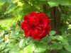 Bild 23