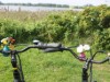 Billede 39