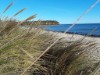 Bild 14 - Ude