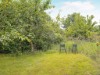 Image 5 - View