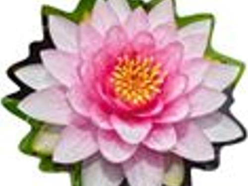  - 2 personer -  - Hafenstraße - 91785 - Pleinfeld Ot Ramsberg Am